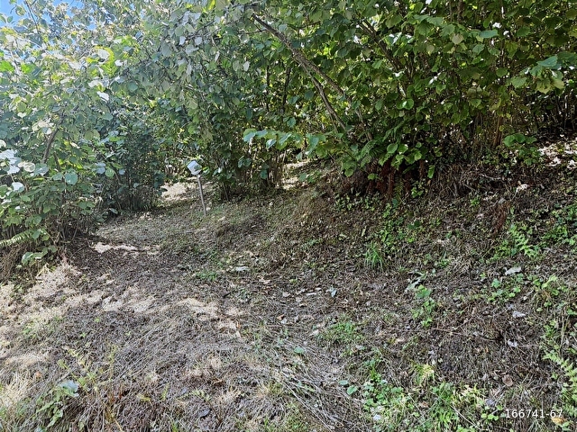 ORDU/PERŞEMBE/BEKİRLİDE 1 DÖNÜM FINDIK BAHÇESİ - Görsel 22