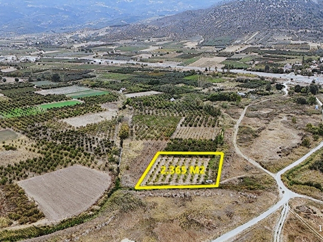 YERLEŞİME YAKN SULAMA SİSTEMİ HAZIR 2.365M2 BAKMLI CEVİZ BAHÇESİ - Görsel 8