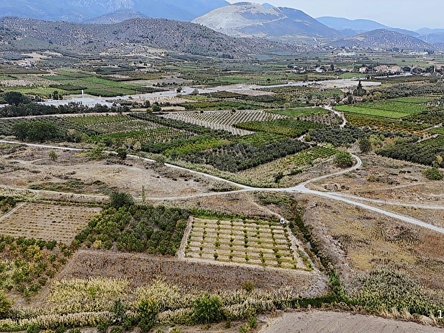 YERLEŞİME YAKN SULAMA SİSTEMİ HAZIR 2.365M2 BAKMLI CEVİZ BAHÇESİ - Görsel 27