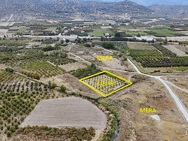 YERLEŞİME YAKN SULAMA SİSTEMİ HAZIR 2.365M2 BAKMLI CEVİZ BAHÇESİ - Görsel 10