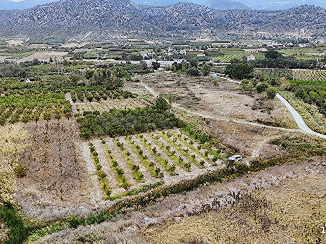 YERLEŞİME YAKN SULAMA SİSTEMİ HAZIR 2.365M2 BAKMLI CEVİZ BAHÇESİ - Görsel 13