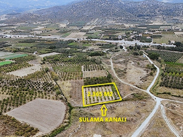 YERLEŞİME YAKN SULAMA SİSTEMİ HAZIR 2.365M2 BAKMLI CEVİZ BAHÇESİ - Görsel 9