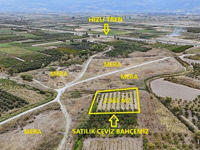 YERLEŞİME YAKN SULAMA SİSTEMİ HAZIR 2.365M2 BAKMLI CEVİZ BAHÇESİ - Görsel 6