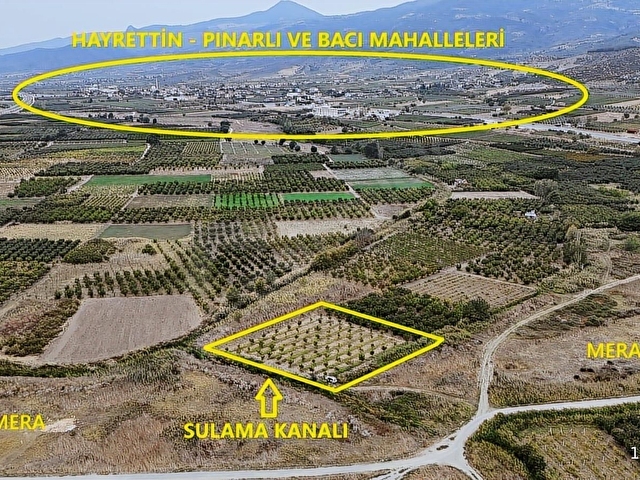 YERLEŞİME YAKN SULAMA SİSTEMİ HAZIR 2.365M2 BAKMLI CEVİZ BAHÇESİ - Görsel 5
