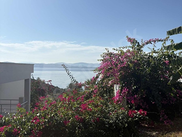 KIYIKIŞLACIK ZEYTİNLİKUYU DENİZE SIFIR İASSOS BEACH CLUBDA - Görsel 5