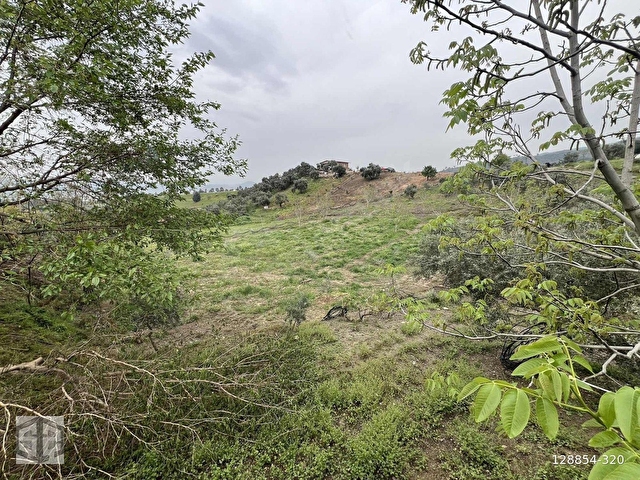 İZMİR TİRE HALKAPINAR KÖYÜNDE 5989m2 BAHÇE - Görsel 27