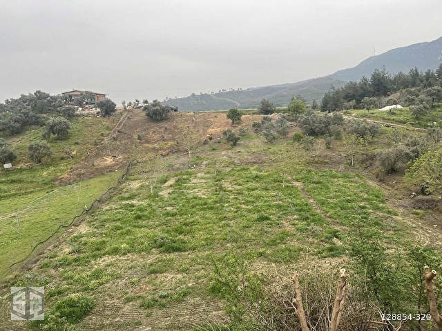 İZMİR TİRE HALKAPINAR KÖYÜNDE 5989m2 BAHÇE - Görsel 10