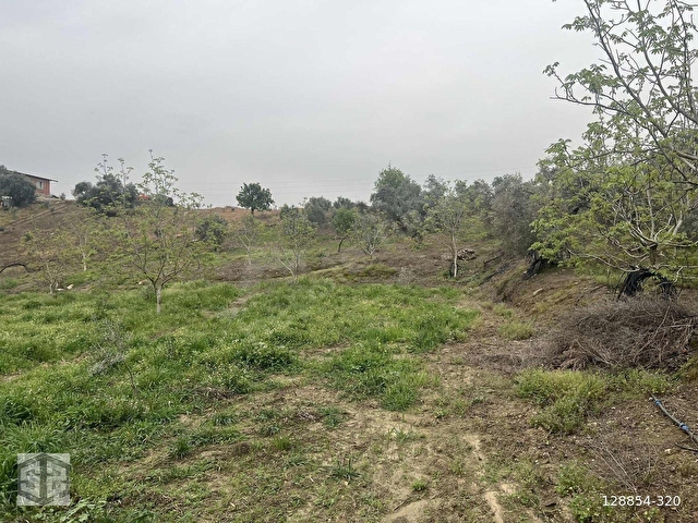 İZMİR TİRE HALKAPINAR KÖYÜNDE 5989m2 BAHÇE - Görsel 29