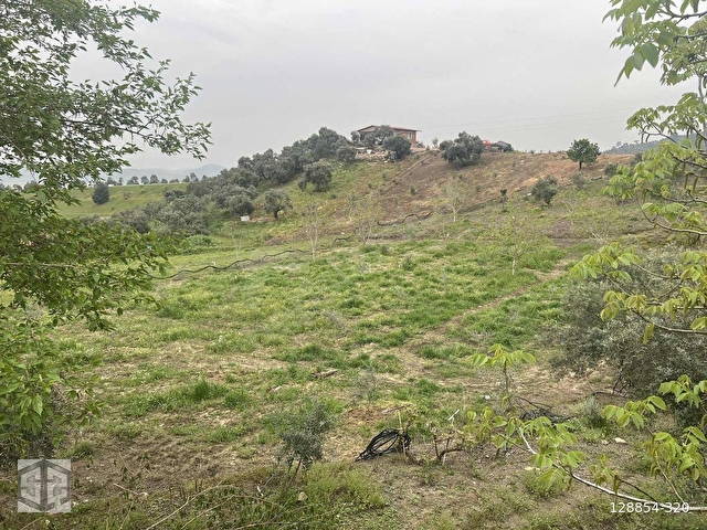 İZMİR TİRE HALKAPINAR KÖYÜNDE 5989m2 BAHÇE - Görsel 26
