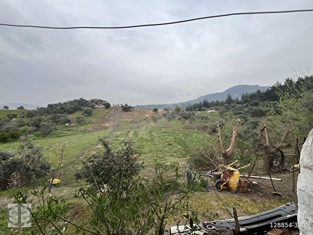 İZMİR TİRE HALKAPINAR KÖYÜNDE 5989m2 BAHÇE - Görsel 17