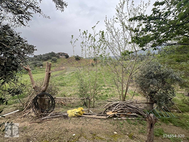 İZMİR TİRE HALKAPINAR KÖYÜNDE 5989m2 BAHÇE - Görsel 24