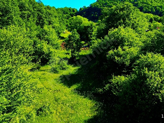 GK GÜLER GAYRİMENKULDEN ŞİLE ÜVEZLİDE SATILIK 2377 M2 TARLA - Görsel 6