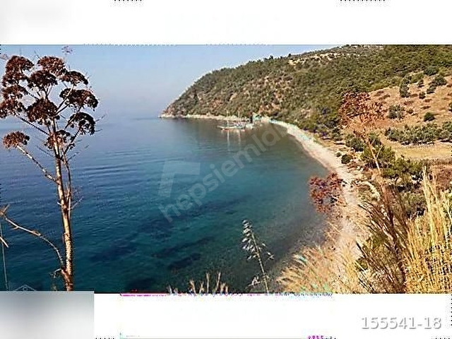 Muğla Milas Bozalan mahallesinde arazi - Görsel 27