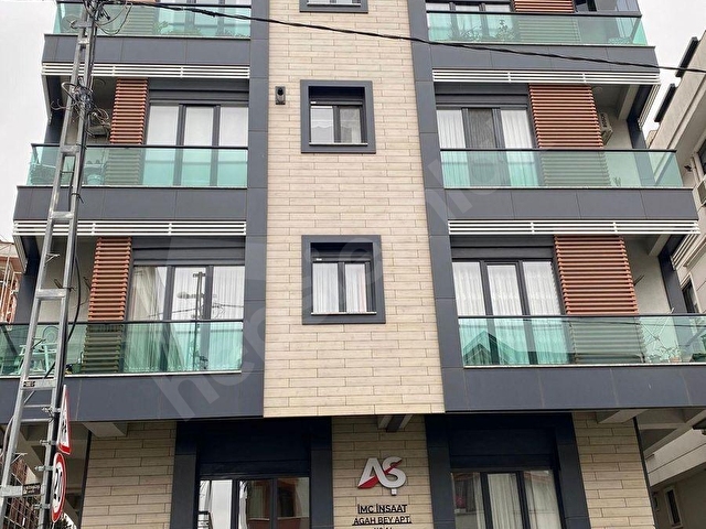 STEIN AUF STEIN 50.Yıl Korusunda 4 Yıllık 1.Kt Konumunda Ön 3+1