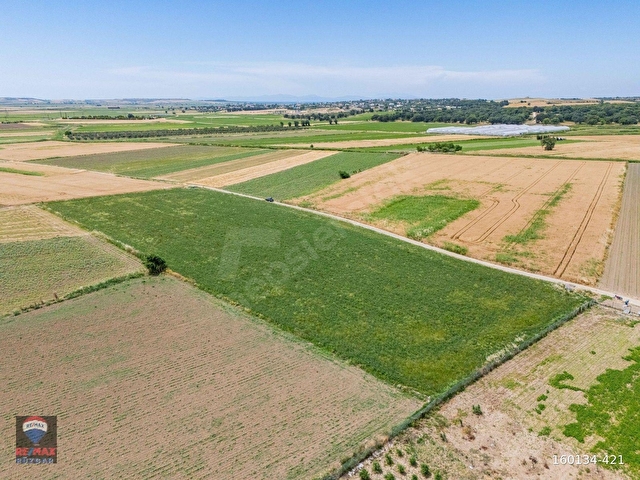 ÇANAKKALE HALiLELi KÖYÜ YOL KENARI SATILIK 12.258 M2 TARLA - Görsel 9