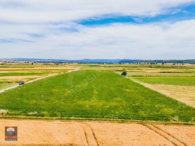 ÇANAKKALE HALiLELi KÖYÜ YOL KENARI SATILIK 12.258 M2 TARLA - Görsel 4