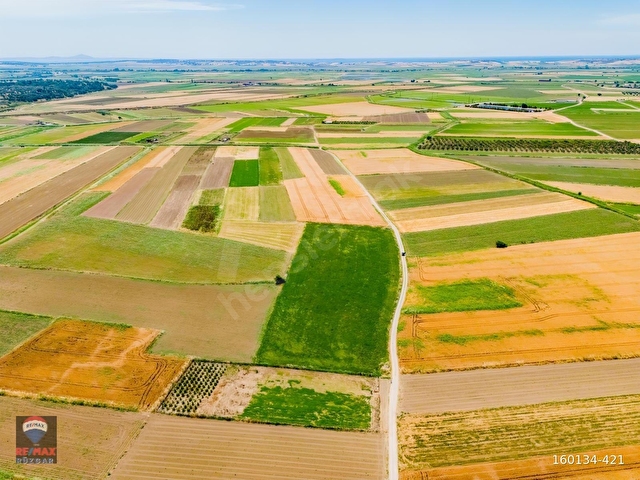ÇANAKKALE HALiLELi KÖYÜ YOL KENARI SATILIK 12.258 M2 TARLA - Görsel 12
