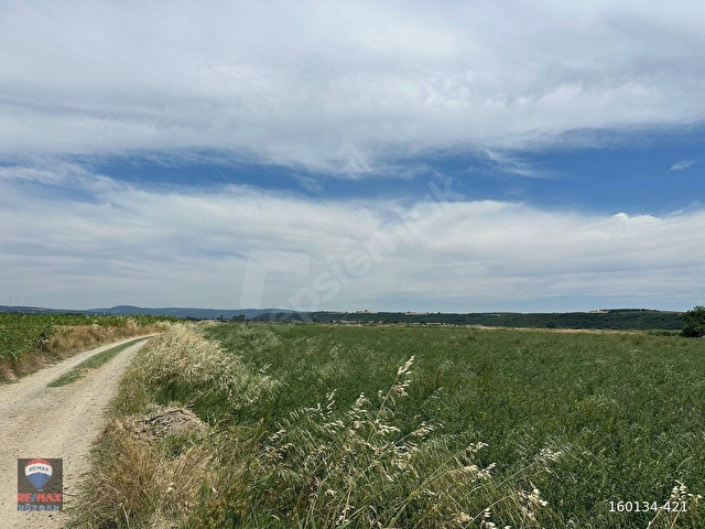 ÇANAKKALE HALiLELi KÖYÜ YOL KENARI SATILIK 12.258 M2 TARLA - Görsel 3