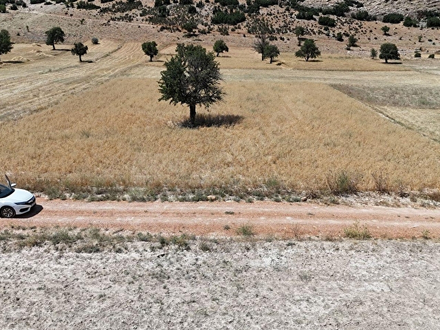 ANTALYA ELMALI BÜYÜKSÖĞLE 2721M2 KÖYE 750 METRE RESMİ YOLA CEPHE - Görsel 24