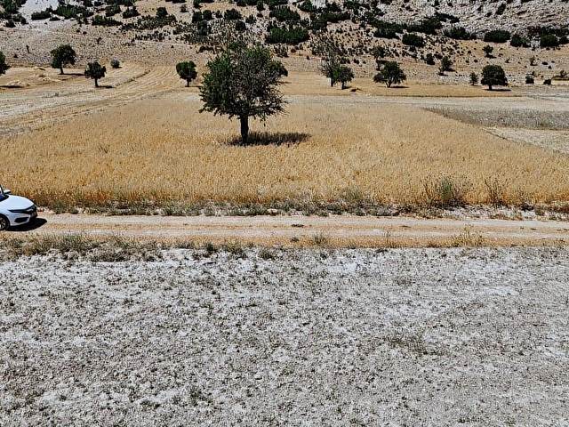 ANTALYA ELMALI BÜYÜKSÖĞLE 2721M2 KÖYE 750 METRE RESMİ YOLA CEPHE - Görsel 14