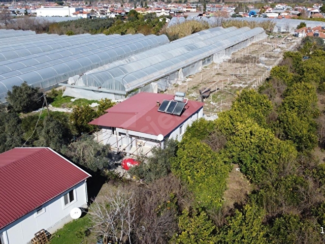 ROTAM EMLAKTAN ORTACADA 1337M² TARLA İÇİNDE SATILIK MUSTAKİL EV - Görsel 26