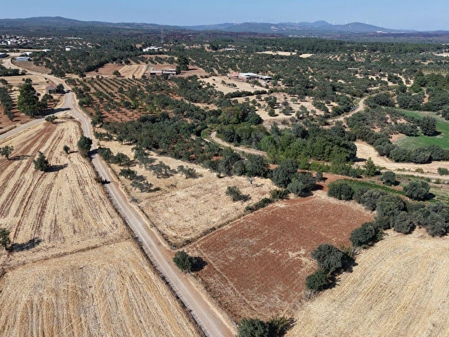 Bayramiç Kazdağlarında Satılık 1300 m2 Tarla