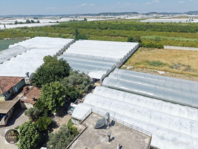 İKİ KATLI BETON EV VE SERASI İLE SATILIK BAHÇE NİTELİĞİNDE ARSA - Görsel 18