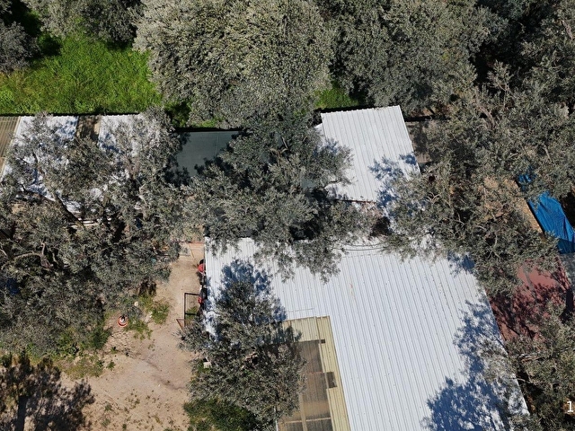 EDİNCİKTE ZEYTİNLİK İÇİNDE 2 KATLI MÜSTAKİL YAPI - Görsel 5