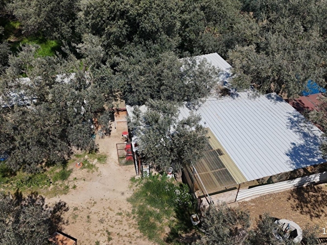 EDİNCİKTE ZEYTİNLİK İÇİNDE 2 KATLI MÜSTAKİL YAPI - Görsel 28