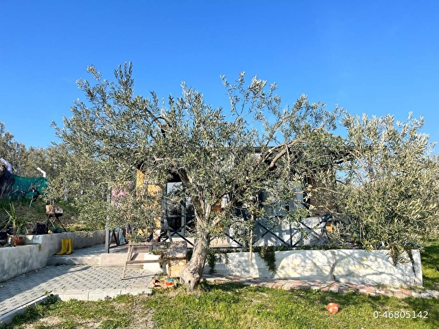 Harika Bağ Evi - Görsel 4