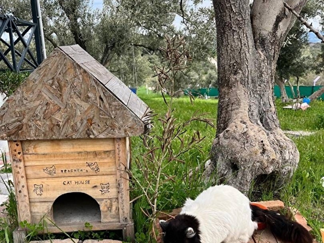 Harika Bağ Evi - Görsel 9