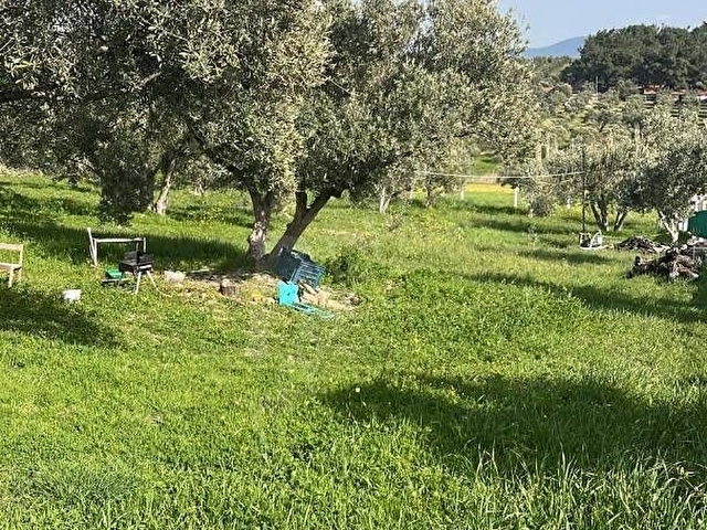 Harika Bağ Evi - Görsel 7