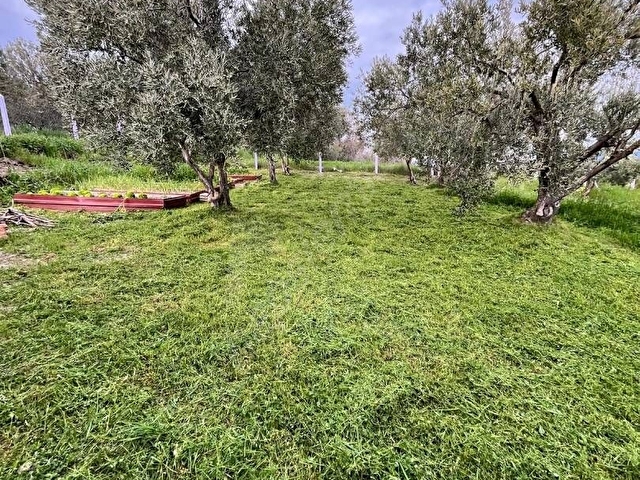 Harika Bağ Evi - Görsel 6