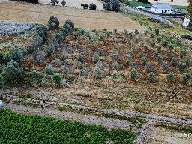 ACİLL SEYDİKEMER ORTAKÖYDE 1.800 M2 DOĞA MANZARALI KÖYİÇİ İMARLI  ARAZİ - Görsel 22