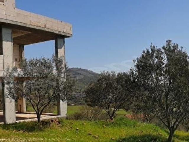 Dikili Kıratlıda Satılık 3 Adet Villa ve 26 Dönüm Zeytinlik - Görsel 3