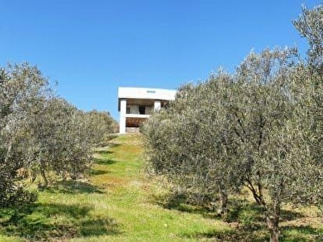 Dikili Kıratlıda Satılık 3 Adet Villa ve 26 Dönüm Zeytinlik - Görsel 7