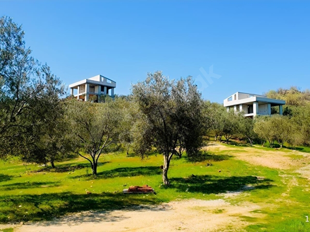 Dikili Kıratlıda Satılık 3 Adet Villa ve 26 Dönüm Zeytinlik - Görsel 22