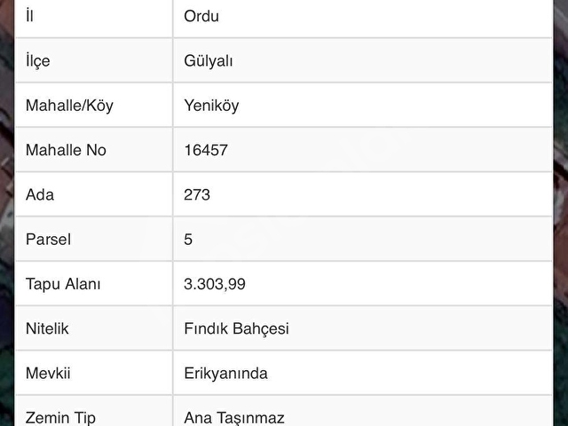 OFFICIAL GAYRİMENKUL SATILIK FINDIK BAHÇESİ GÜLYALI - Görsel 9