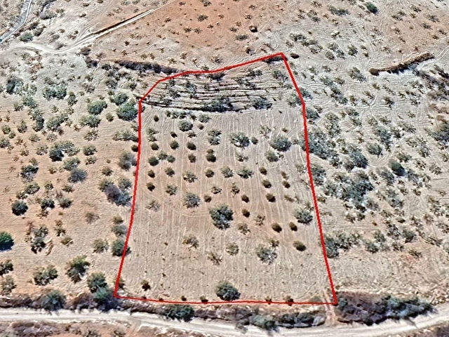 Kadastral Yolu Var | 90 Yaşında Fıstıklı | 6.998 m² Arazi - Görsel 6