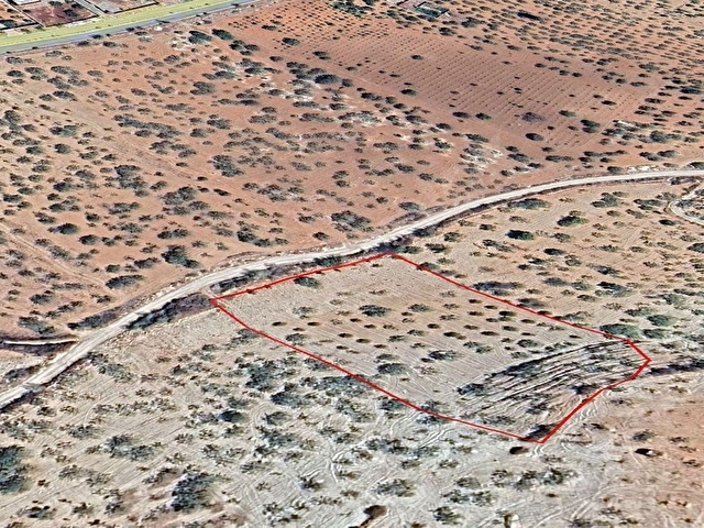 Kadastral Yolu Var | 90 Yaşında Fıstıklı | 6.998 m² Arazi - Görsel 7