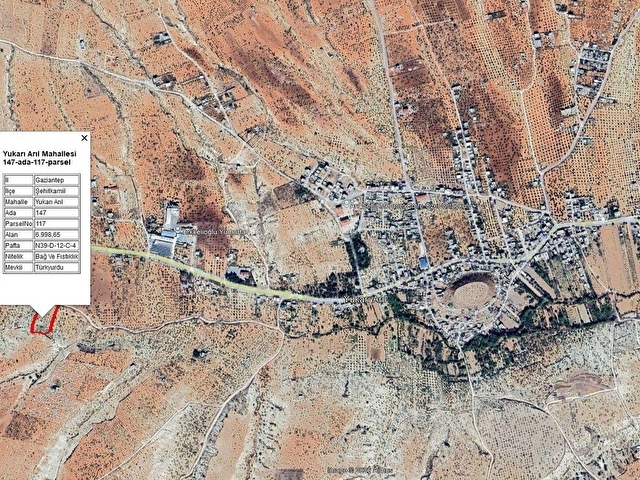 Kadastral Yolu Var | 90 Yaşında Fıstıklı | 6.998 m² Arazi - Görsel 13