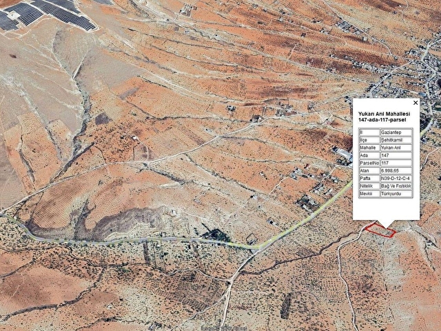 Kadastral Yolu Var | 90 Yaşında Fıstıklı | 6.998 m² Arazi - Görsel 14