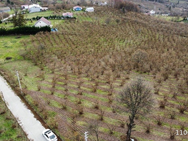 Düzce Kaynaşlı Çamoluk Köyünde Satılık Villalık arsa - Görsel 4