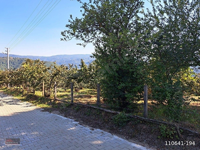Düzce Kaynaşlı Çamoluk Köyünde Satılık Villalık arsa - Görsel 23