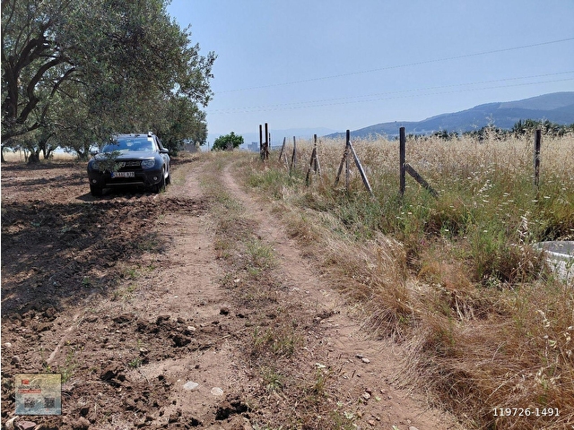 AKHİSAR DOĞUCA KAYALIOĞLU ARASI ORGANİZEYE YAKIN 12.300 M2 TARLA 6.000.000TL - Görsel 8