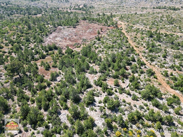 AYDINCIK ÖRENDÜZÜ MEVKİNDE 7520 M2 SATILIK TARLA - Görsel 9