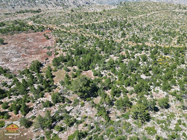 AYDINCIK ÖRENDÜZÜ MEVKİNDE 7520 M2 SATILIK TARLA - Görsel 12