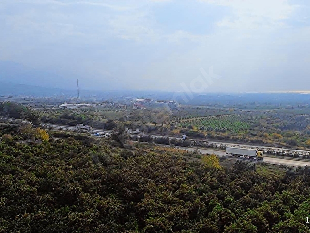 KUZUCULUDA 10.500m2 Bahçe - Görsel 20