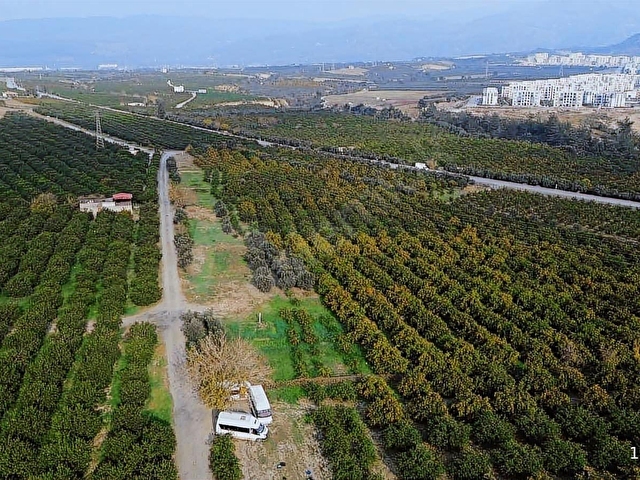 KUZUCULUDA 10.500m2 Bahçe - Görsel 21