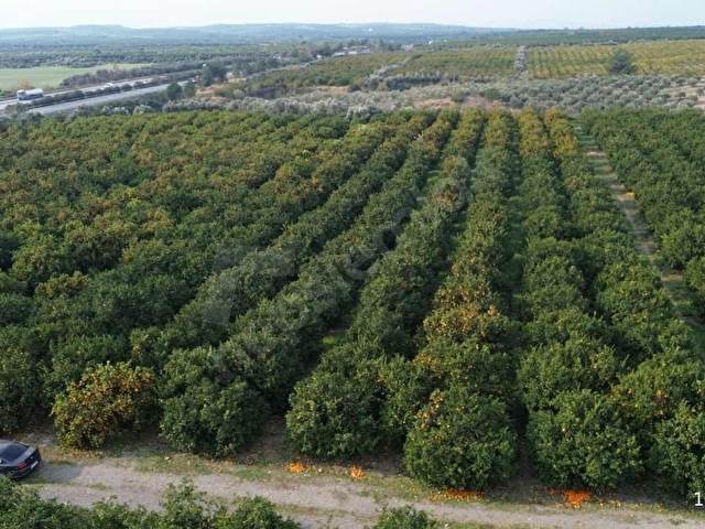 KUZUCULUDA 10.500m2 Bahçe - Görsel 17